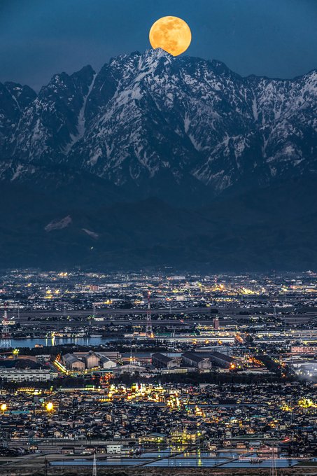 Psychic No 2たむたむ 22psychic Nitter