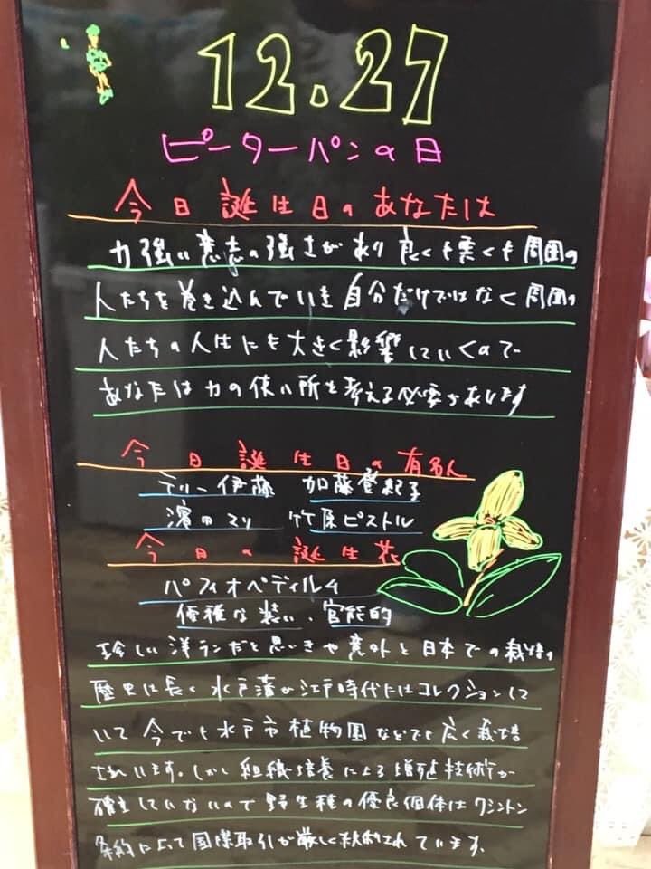 旧 花色舞 Sc店 Hanashikibu Sc 今日の誕生花は パフィオペディルム パフィオペディラム 洋ランでは少数派の株はバルブをもたず 葉のみで生育し地上に根を下ろす地生蘭もしくは半着生蘭です 袋状の唇弁を持っているので虫を捕捉して自らの栄養にすると勘違い