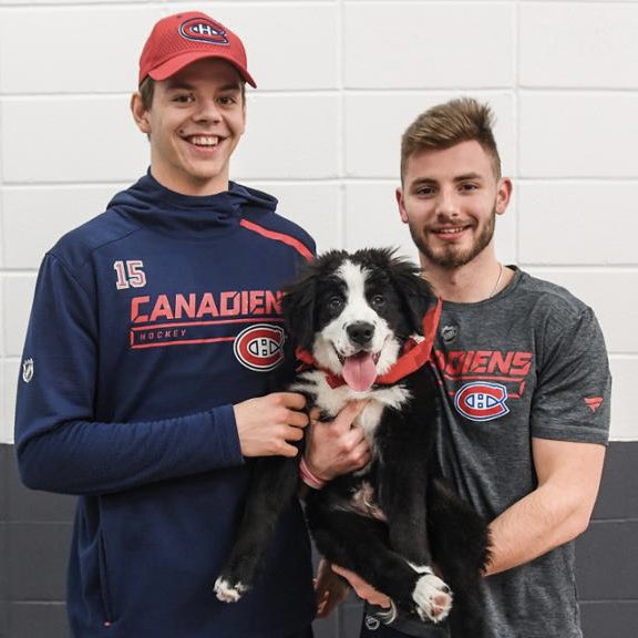 sinéad (@nhlsinead): \