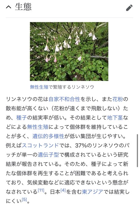 Kevin Kevinfresearch 役名はフィンランドの人物名っぽいです 永混 エマ 奈緒 普遍的な を意味するドイツ語由来 凛音亞 リンネア このみ リンネソウの学名 逢路蘭 アウロラ 環 ラテン語で夜明け 朝の女神 深淵海 ヘルミ 律子 真珠 夜羽那