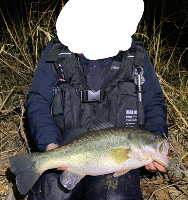 ごそ 釣り垢 Goso Fishing Nitter