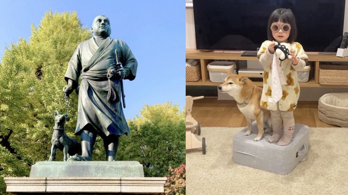 柴犬りんご郎 Ringoro119 クッションから落ちた娘を見てすかさず占領する柴犬 Nitter