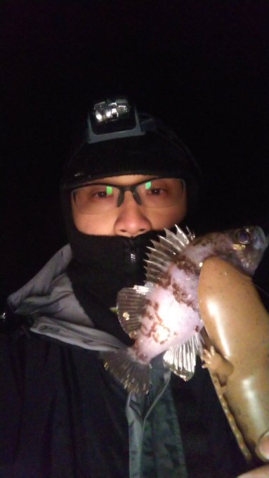 H Ganonndoruhu 寒いけどメバルゲット あと1ヶ月しないと楽には釣れないな メバル 夜釣り ワーム Nitter