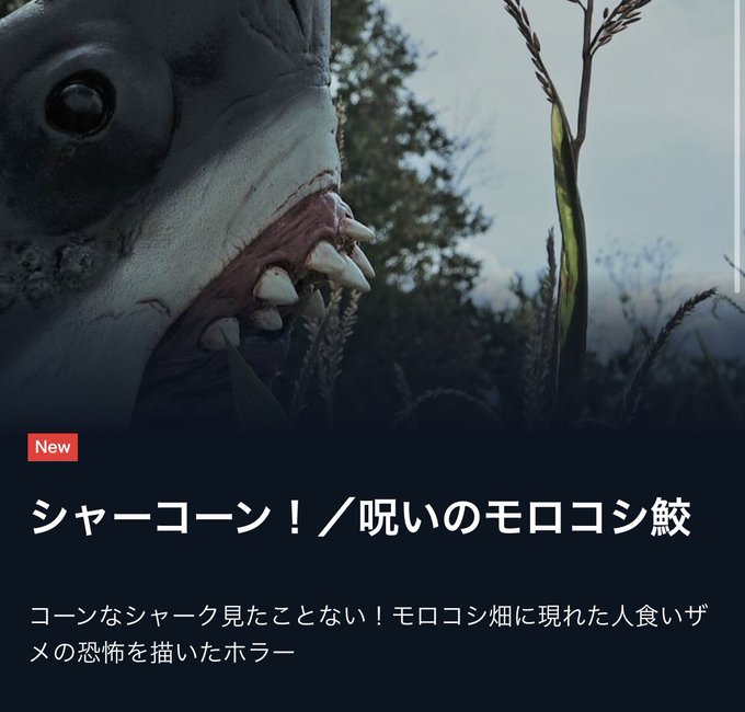 サメ映画ルーキー Munenori Nitter