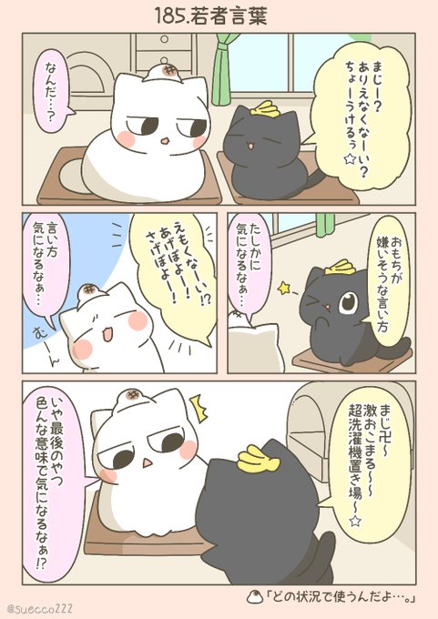 うちの末っ子がうざすぎる 猫漫画毎日更新 Suecco222 185 若者言葉 猫のいる暮らし 4コマ漫画 漫画が読めるハッシュタグ Nitter