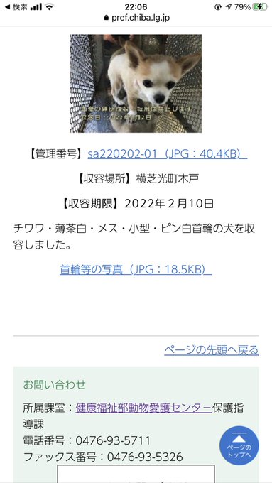 ココ Xenygkqkzffvu6o 千葉県の本所にて現在 収容されています小さなチワワちゃん 飼い主様 探されてませんか 大至急 お迎えお願い致します 迷子にさせたなら責任をお願いします 千葉県 チワワ ちわわ 小型犬 東京都 埼玉県 神奈川県 迷子犬 迷い