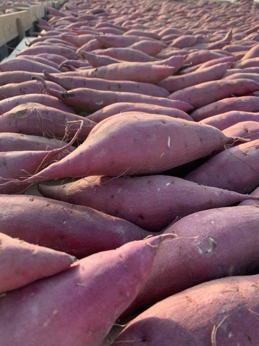 ゆうり Yuumyuu000 Nitter ゆうり Yuumyuu000 Nitter