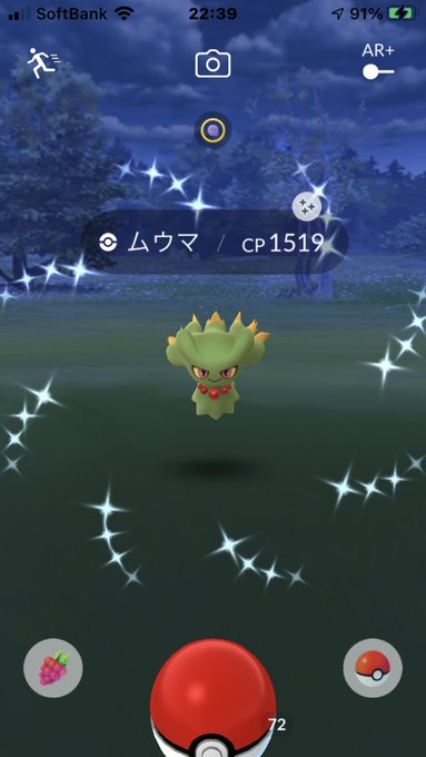 Nitter Nitter