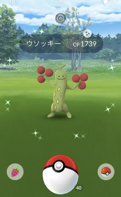 Nitter
