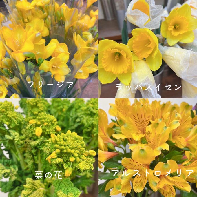 黒沢生花店 Kurosawaflower 3月8日は国際女性デーです 残念ながら 当店ではミモザの入荷はありません その代わりに国際女性デーの テーマカラーの黄色の花々を プレゼントとして贈りませんか 尼崎市 立花駅 花屋 立花商店街 黒沢生花店 生花 切り花