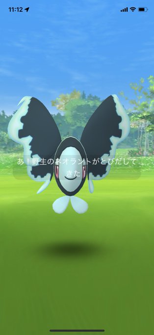 Big Tree Annadrums3150 野生で見たのは初かも ポケモンgo ポケgo 野生 ネオラント Nitter