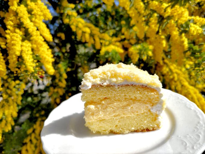 アトリエ カフェ赤毛のアン Annecafe17 ミモザの花が咲いた時だけの期間限定 本日限定 ミモザケーキ 中は ふわふわカスタードクリーム ミモザケーキ単品770円 ミモザケーキ ドリンク付き1 100円 赤毛のアンカフェ アンカフェ Cafe テラス テラス席