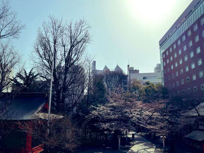 橘u子 Tatibana 桜 もう少しで満開です 花園神社 春の花園神社も とても素敵で 何時間でもいたい場所 お花見したいなぁ 二回目願望 Nitter 橘u子 Tatibana 桜 もう少しで満開です 花園神社 春の花園神社も とても素敵で 何時間でもいたい場所 お花見したいなぁ 二回目願望 Nitter