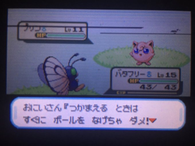 はるねこ Hgss色図鑑 Wp7sw0ssutmkxfi おしえテレビバタフリー光りました Uncatchableweek22 ポケモン色違い Nitter はるねこ Hgss色図鑑 Wp7sw0ssutmkxfi おしえテレビバタフリー光りました Uncatchableweek22 ポケモン色違い Nitter