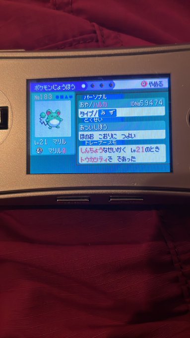 Zitlocoifxi Am Zitlocoifxi Am