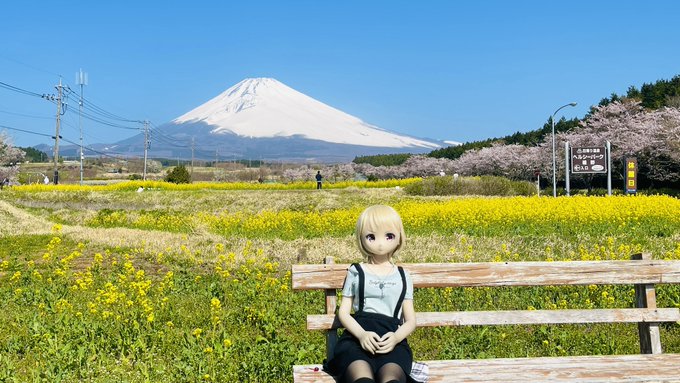 みゃーまん Tw3yyyaany 菜の花が咲く時期という事で前から撮りたかった場所へ むったん む 菜の花とさくら咲いてる 今日は富士山も真っ白くっきり見えて映えるね シュワシュワの美味しい季節だね それは違うと思う Nitter