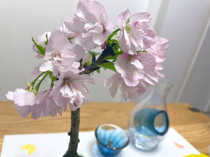 安野希世乃 Official Yaskiyo Manager 安野家 生ふわト ク始まるよ きよの Nitter 安野希世乃 Official Yaskiyo Manager 安野家 生ふわト ク始まるよ きよの Nitter