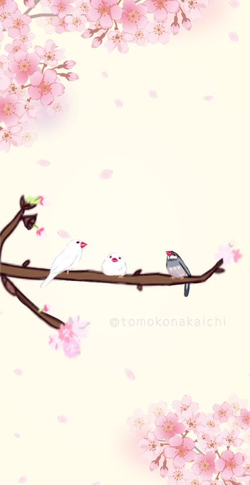 さくらこ Tomokonakaichi Nitter さくらこ Tomokonakaichi Nitter