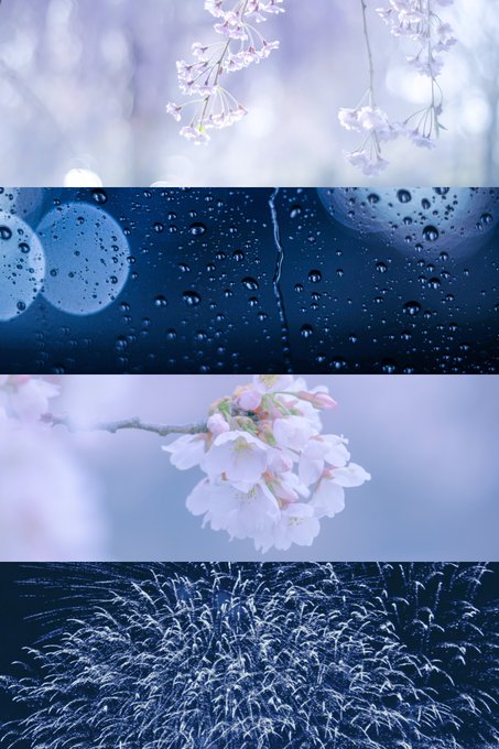 杏 Ann Photo05 春の風を待つ あの花のように Nitter 杏 Ann Photo05 春の風を待つ あの花のように Nitter