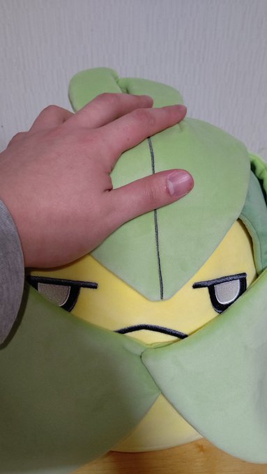 カカオ 0u0kakao きゃぁぁぁぁぁぁぁぁ えっ っちょ えっ あっ えっ かわ かわいい かわいいの塊だ 結構デカイ そこもかわいい 全てがかわいい ポケモン クルマユ Nitter