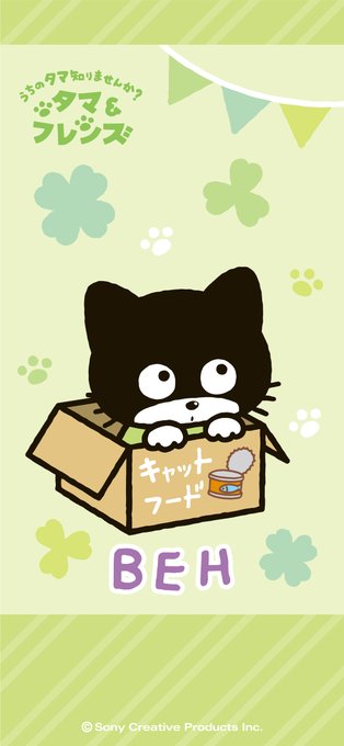 三丁目のタマ町内会 Tama Friends 今日はベーの誕生日 ダンボールはどんなおもちゃよりも嬉しいプレゼント ハッピーバースデーベー うちのタマ知りませんか タマアンドフレンズ Nitter