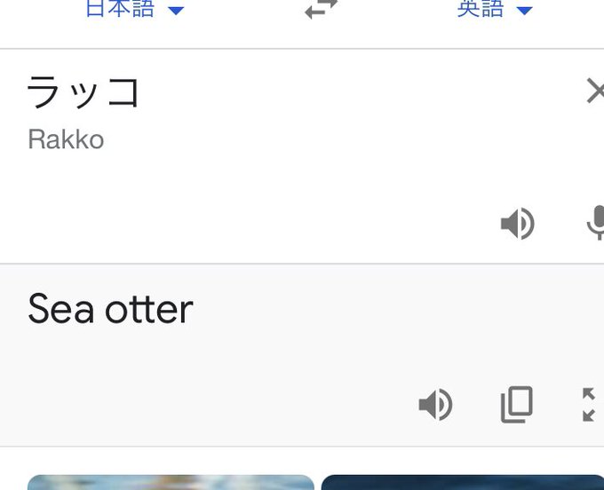双nari 4 15音声作品配信開始 エロ文書きます ご依頼募集中 17peken 3 ラッコって英語だと頑張ればシスターって読めそうですしね Nitter 双nari 4 15音声作品配信開始 エロ文書きます ご依頼募集中 17peken 3 ラッコって英語だと頑張ればシスターって読めそうですしね Nitter