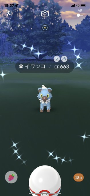 Nitter Nitter
