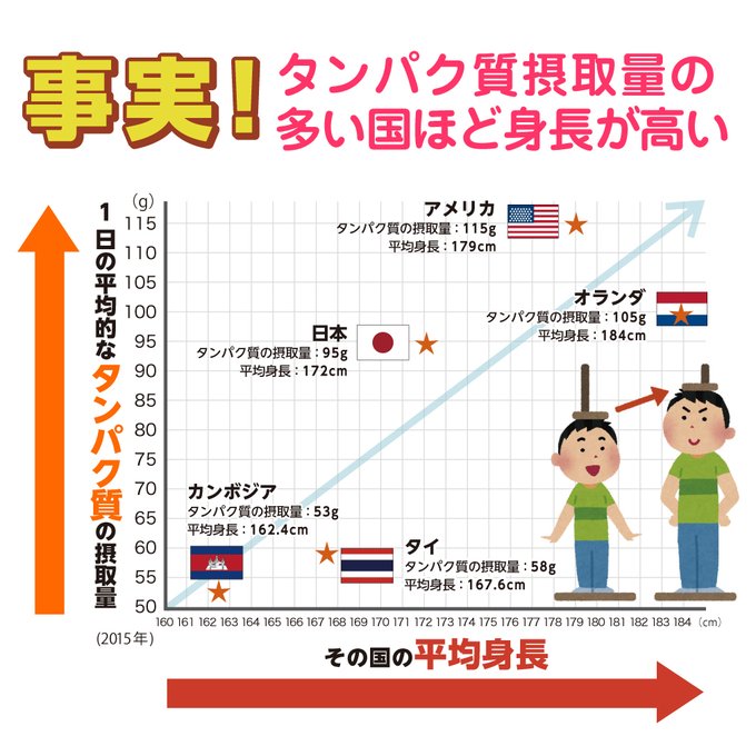 子供向けソイプロテイン Nobita Nobitaofficial5 身長 が伸びるのは遺伝だけじゃない 実は タンパク質 を多く摂取している国は 平均身長が高いといわれています 身長伸びる 骨が伸びる 骨を伸ばすのは成長ホルモンが大事 その成長ホルモンの材料となり