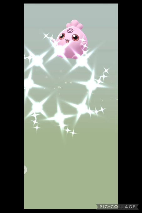 Nitter Nitter