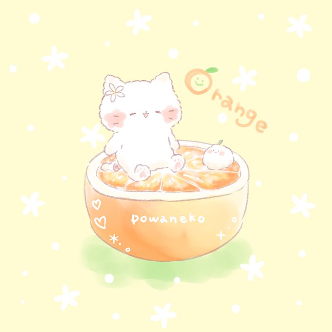 ぽわねこ Lineスタンプでた Powaneko O0 今日は オレンジデー オレンジのお花どんなのか知ってる 白くてかわいいお花だにゃ Illustration イラスト ねこ 今日はなんの日 ゆるいイラスト オレンジ Nitter