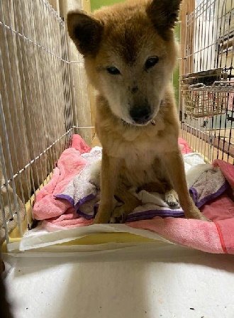 Enter Away Enter Away Nitter Enter Away Enter Away Nitter