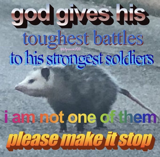 Mark Teo Mahzes Nitter