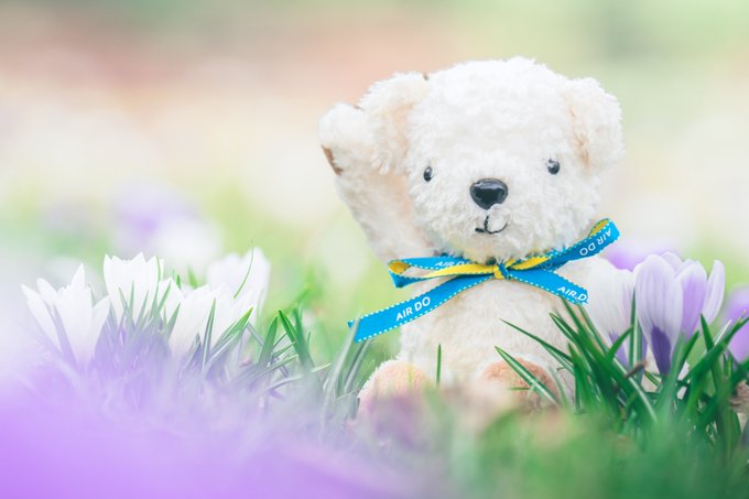 Hiroki Inoue 写真家 井上浩輝 Northern Inoue Nitter