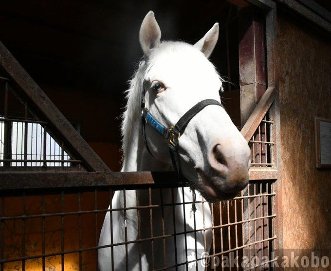 Tomo Hogatomo0708 Nitter