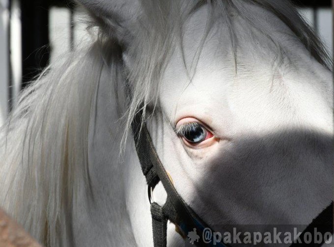 Tomo Hogatomo0708 Nitter