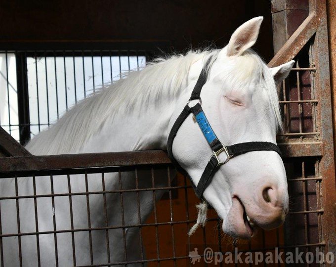 Tomo Hogatomo0708 Nitter