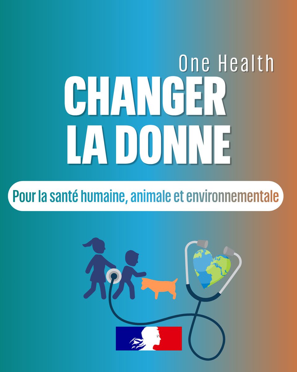 One Health Summit à Lyon : rassemblement pour la santé humaine, animale et environnementale