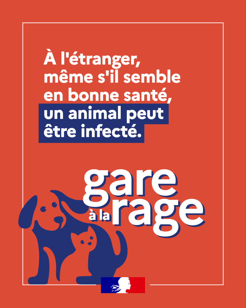 Conseil du Mardi : Préparez vos animaux avant un voyage à l'étranger