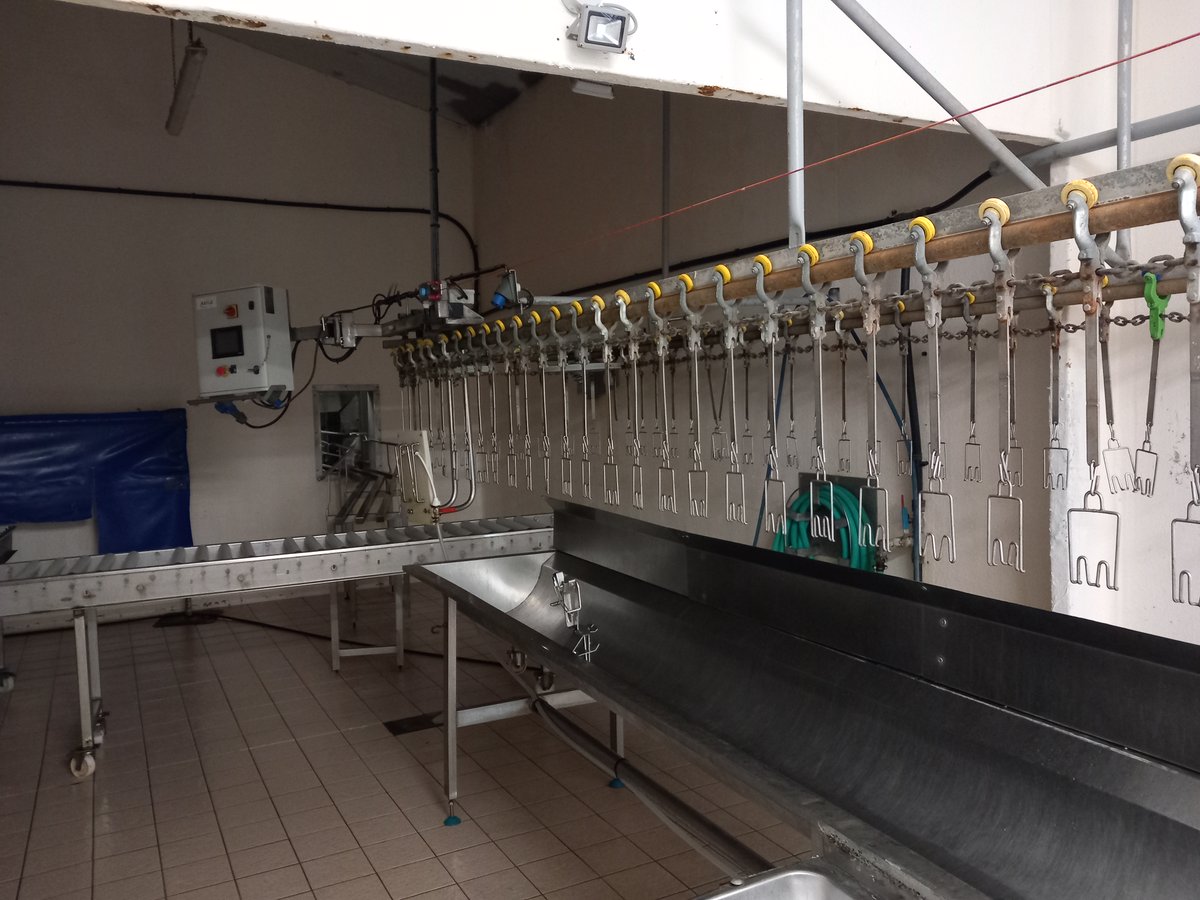 Renard Rouge : 1,5 Million de Volailles Fines Produites Annuellement à Gourgé, Deux-Sèvres
