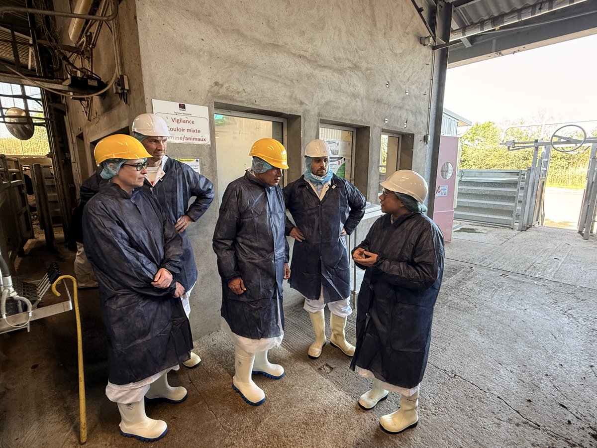 Visite du préfet des Vosges à l'abattoir Elivia de Domvallier pour les préparatifs de l'Aïd-el-Kébir
