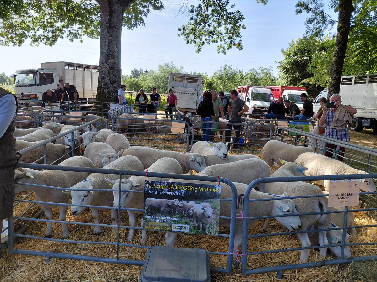 Inauguration maison du mouton et des élevages de plein air Bellac