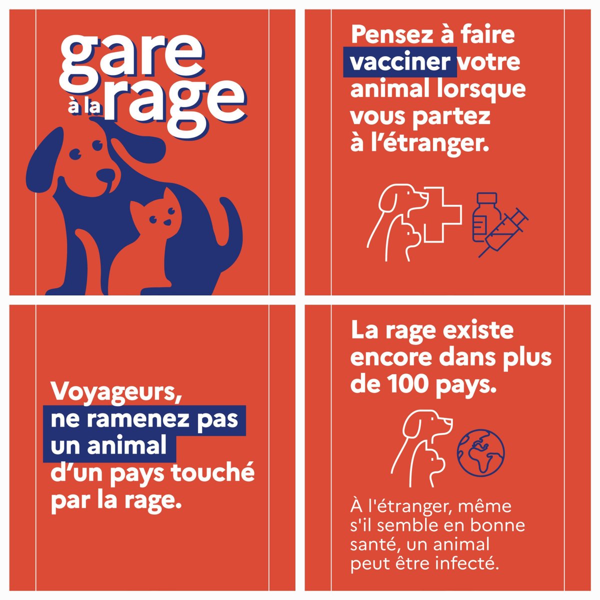 Mise en garde contre la rage pour les voyageurs du Var