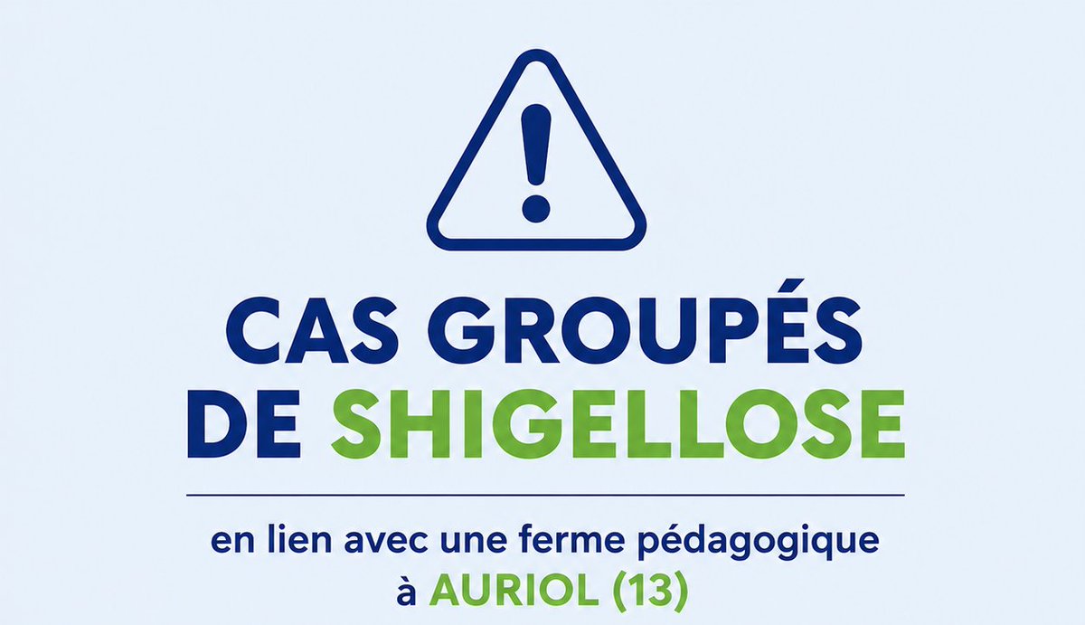 Cas groupés de shigellose à Auriol