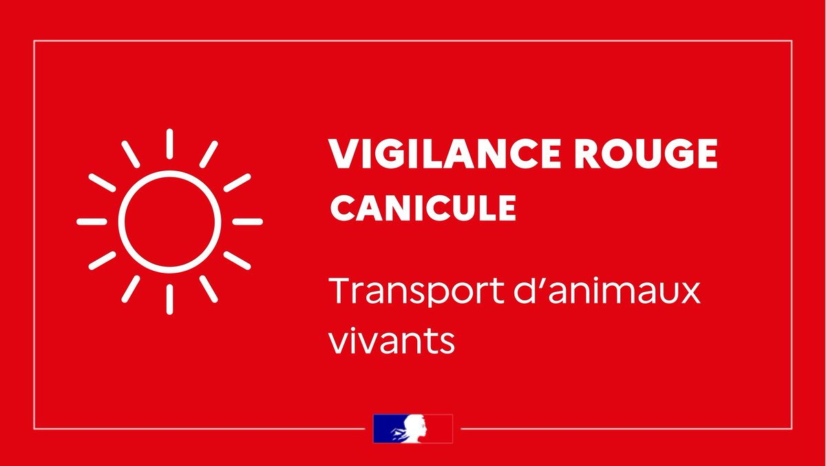 Interdiction de transport d'animaux en période de canicule Manche et Calvados