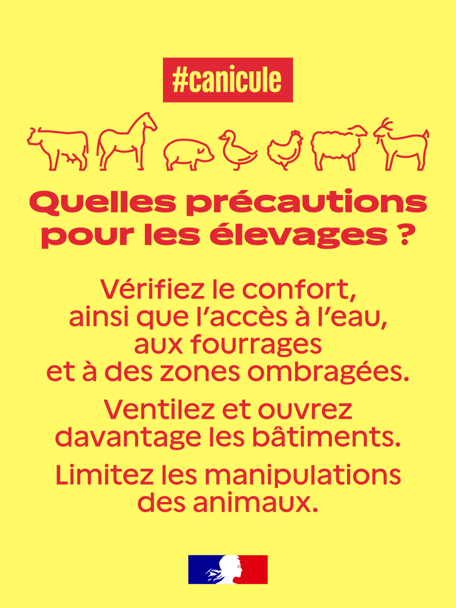 Précautions pour les élevages en période de canicule