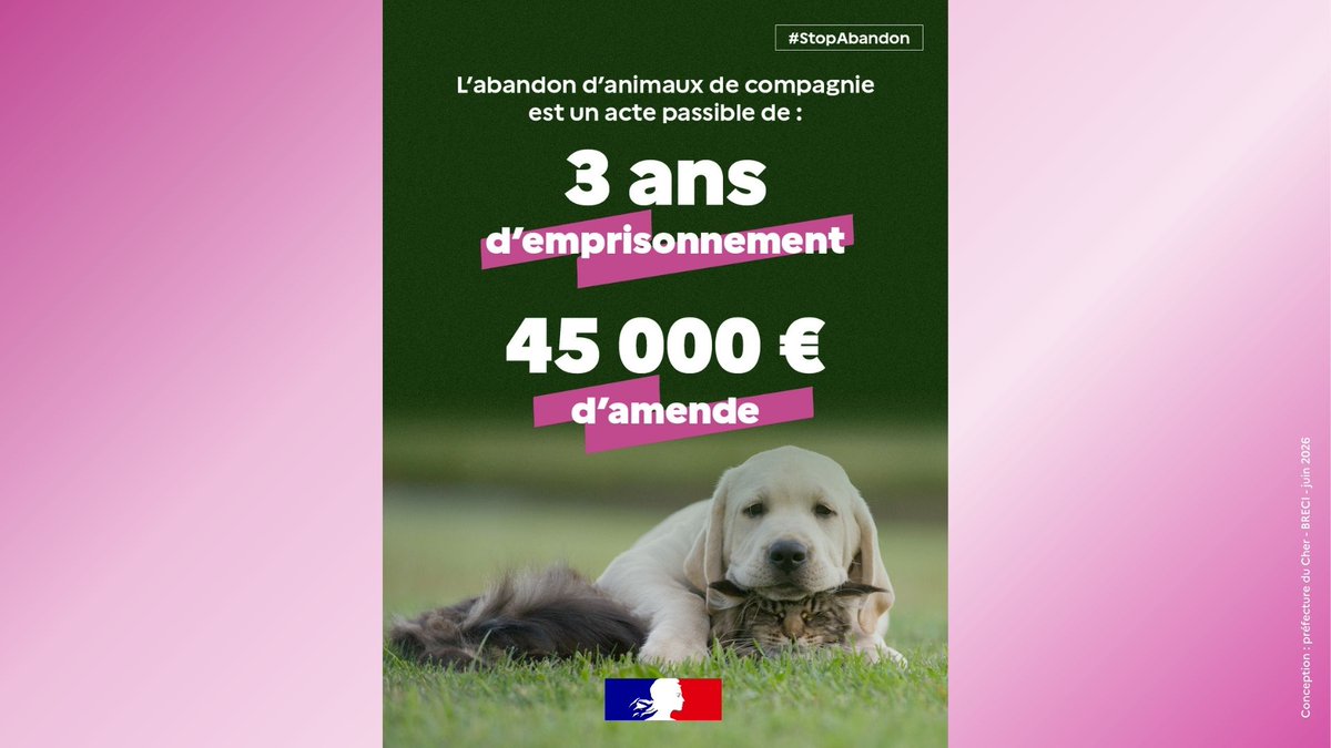 Campagne de sensibilisation contre l'abandon des animaux en été Préfecture 18
