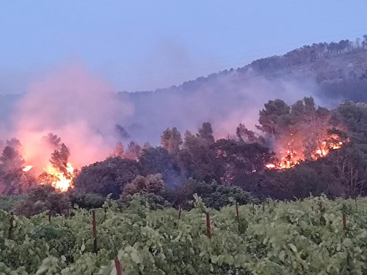Incendies dans l’Hérault