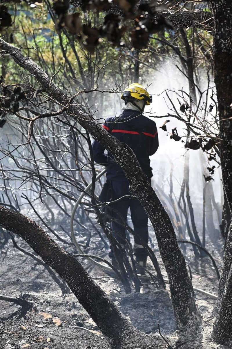 Feu de forêt secteur de Nantua
