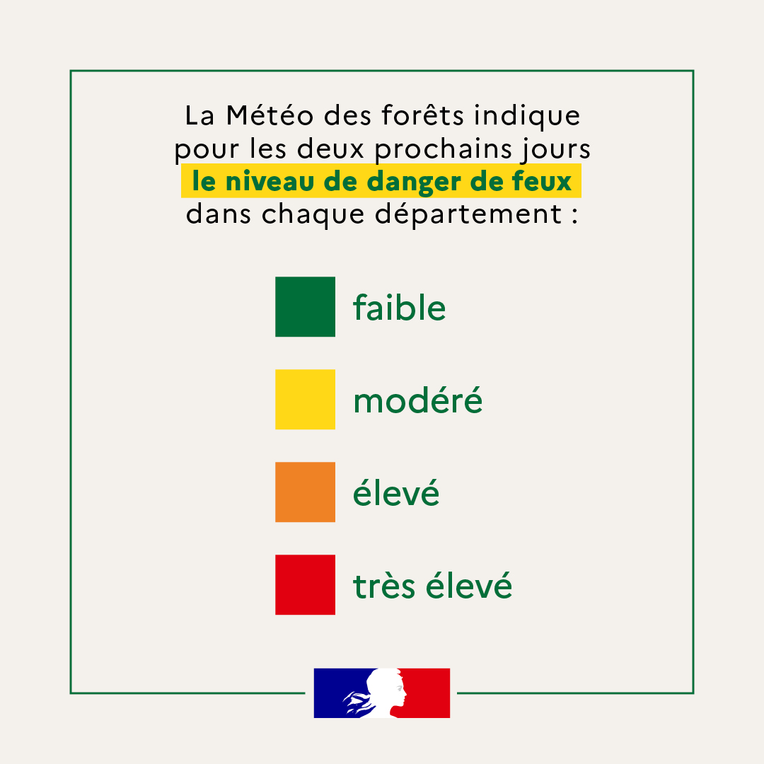 Feux de forêt dans le Maine-et-Loire