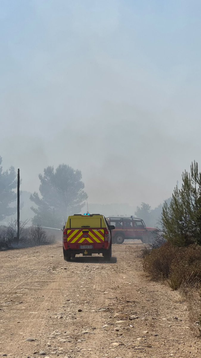 Feu de forêt à Grans